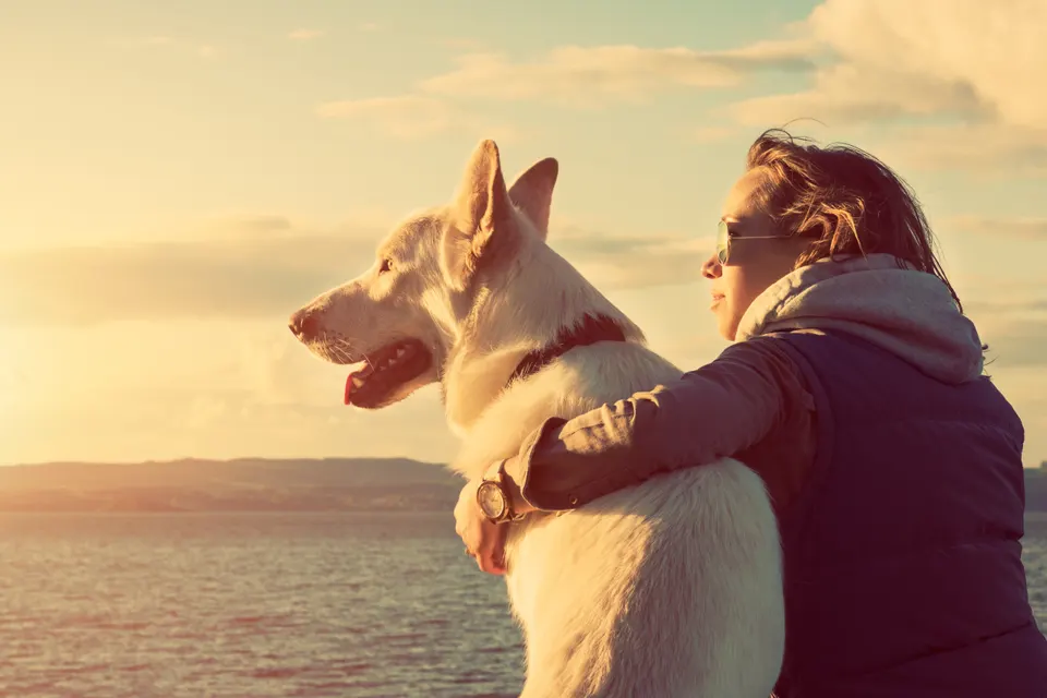 Person hugging dog on sunset
